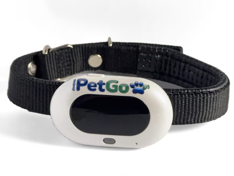 Il tracker deepee PetGo Sirius 1 montato sul collare